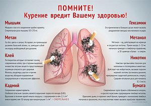 Плакат о вреде курения (А2) (594х420; Пластик ПВХ 4 мм, ПЭТ, алюминиевый профиль) (3)