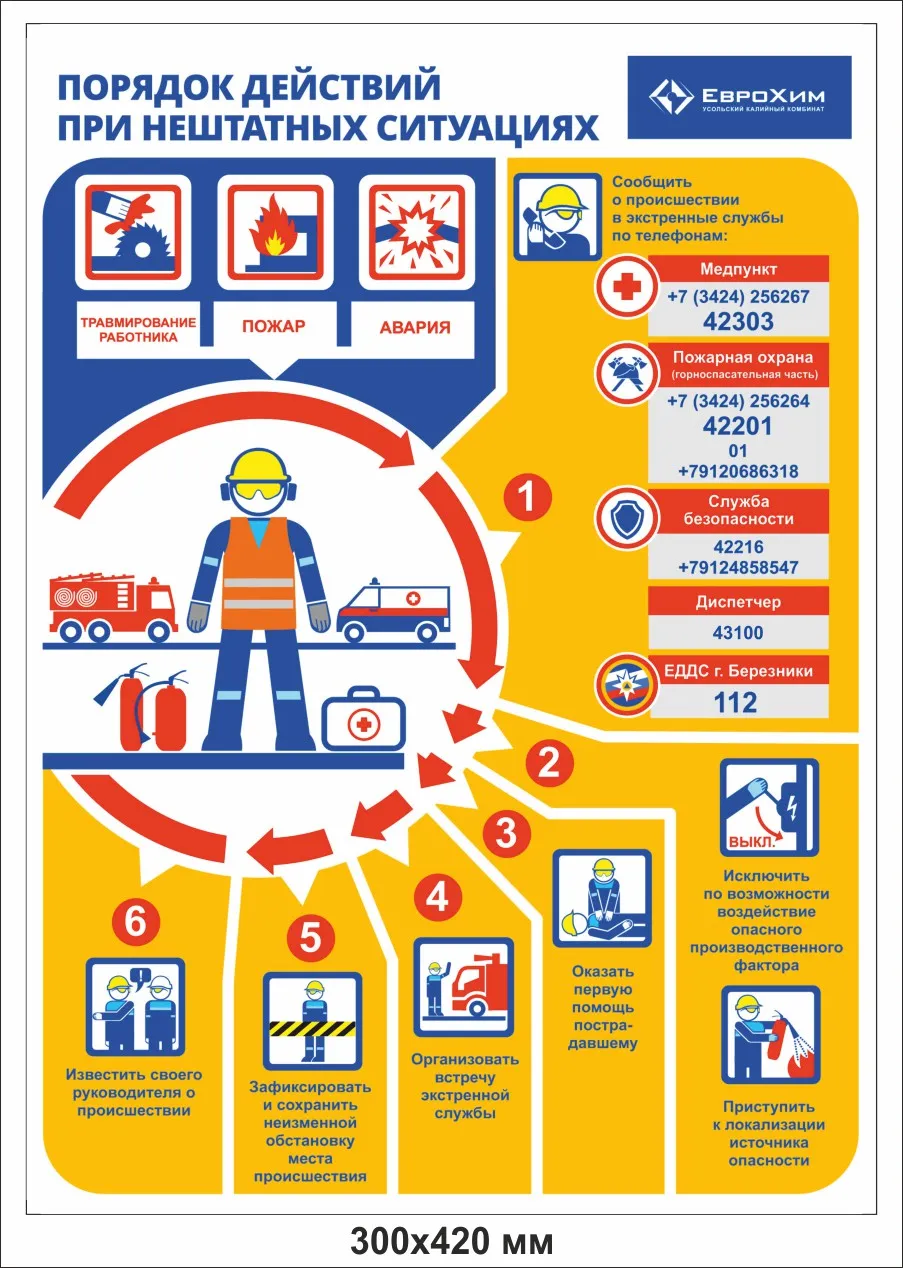 Информационный плакат Порядок действий при нештатных ситуациях – купить в  Москве, цены | ГАСЗНАК