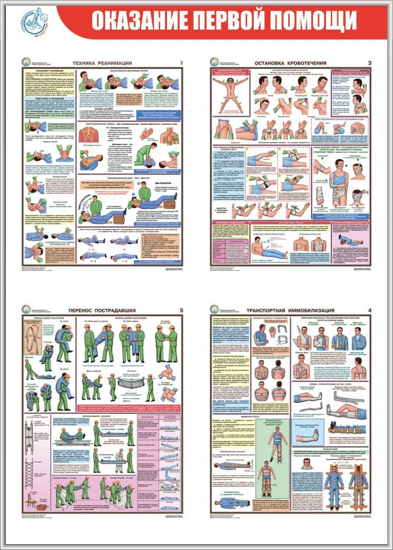 Стенд Оказание первой помощи (Пластик ПВХ 4 мм, алюминиевый профиль, плакат  Соуэло А4 – «Техника реанимации», «Остановка кровотечения», «Транспортная  иммобилизация», «Перенос пострадавших». (500х700; Пластик ПВХ 4 мм,  алюминиевый профиль; ) – купить в ...